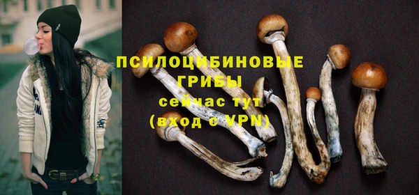 соль курить ск Гусь-Хрустальный