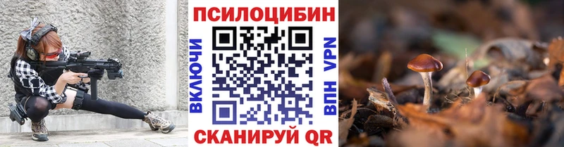 Псилоцибиновые грибы Psilocybe  Евпатория 